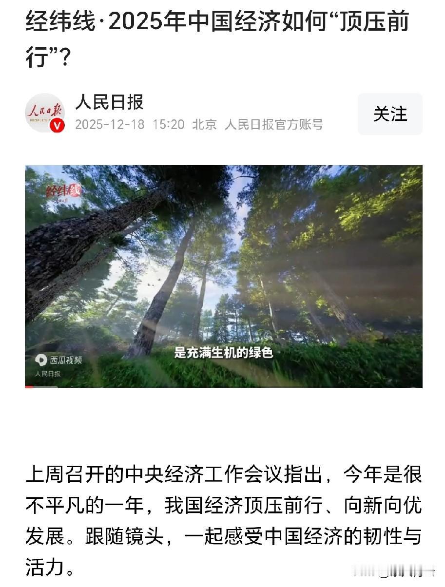2025年的国际环境可不平静，各种挑战一波接一波，但中国经济硬是凭着一股韧劲逆势