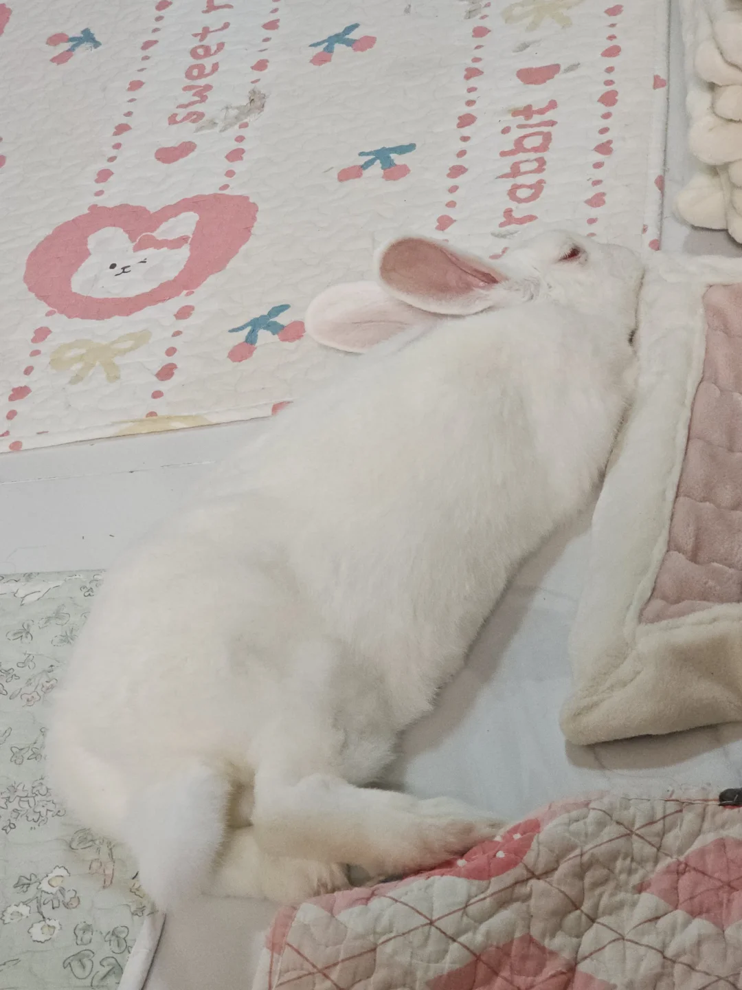 剪个指甲好像不想活了一样