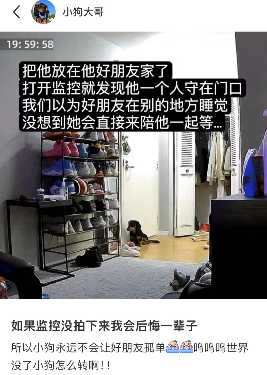 “你等麻麻吗？我陪你一起等” 呜呜呜好朋狗 ​​​