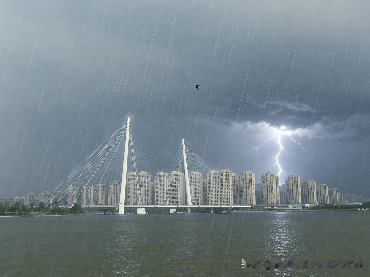 晒图笔记大赛骤雨斜斜铺满江面，青白桥塔静立水波之上。乌云撕开一道雪亮惊雷，孤燕穿