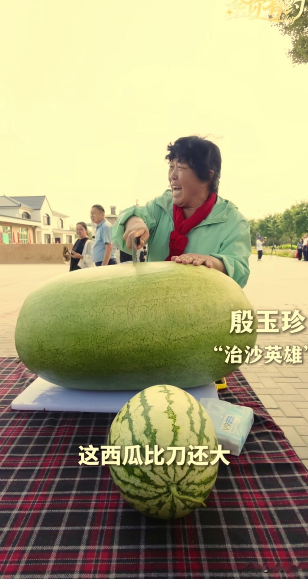 这是治沙英雄殷玉珍，在改造后的毛乌素沙地里种出来的巨型西瓜，堪称沙地瓜王。西瓜被