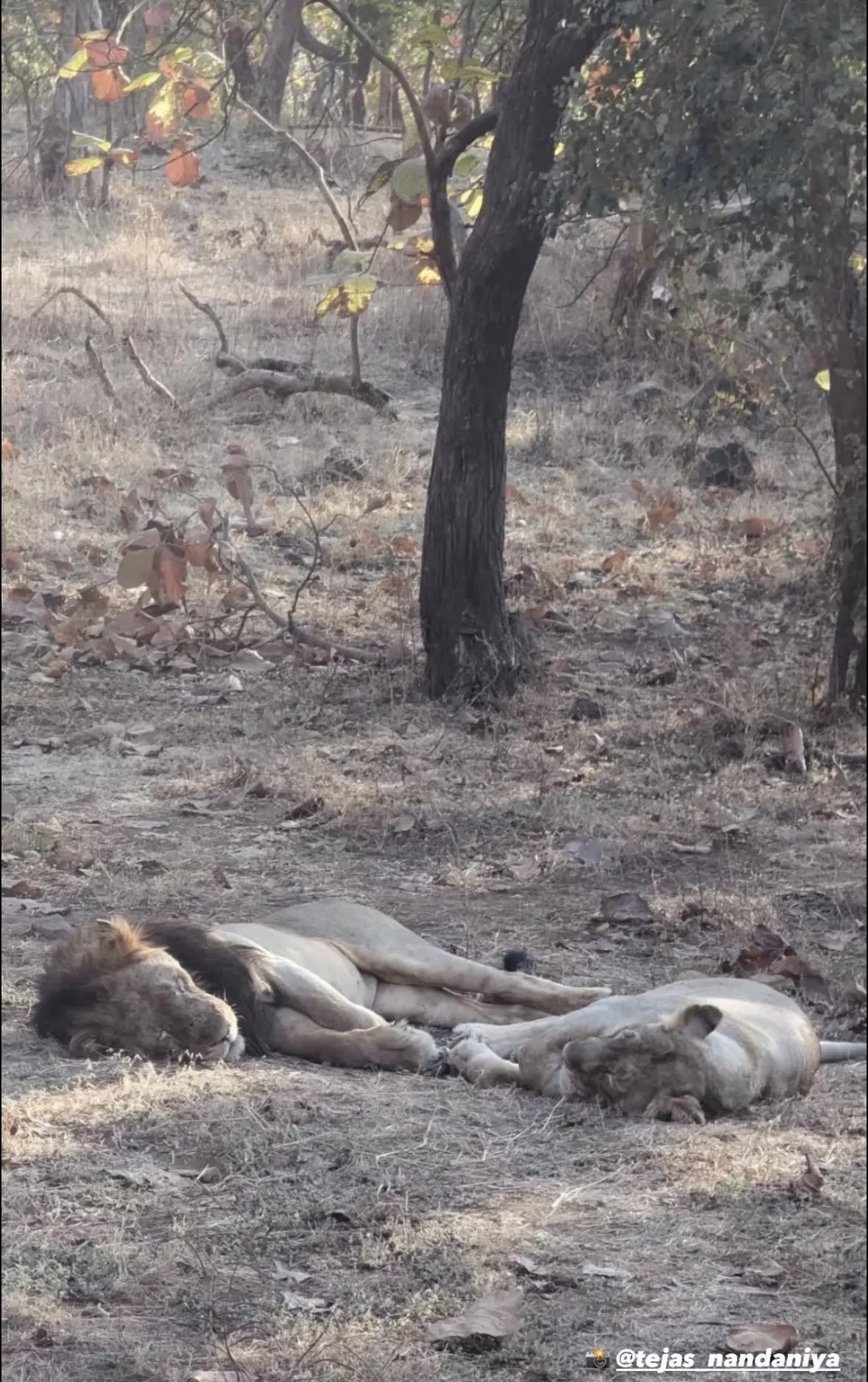 和老婆😪💤的萨尔曼。