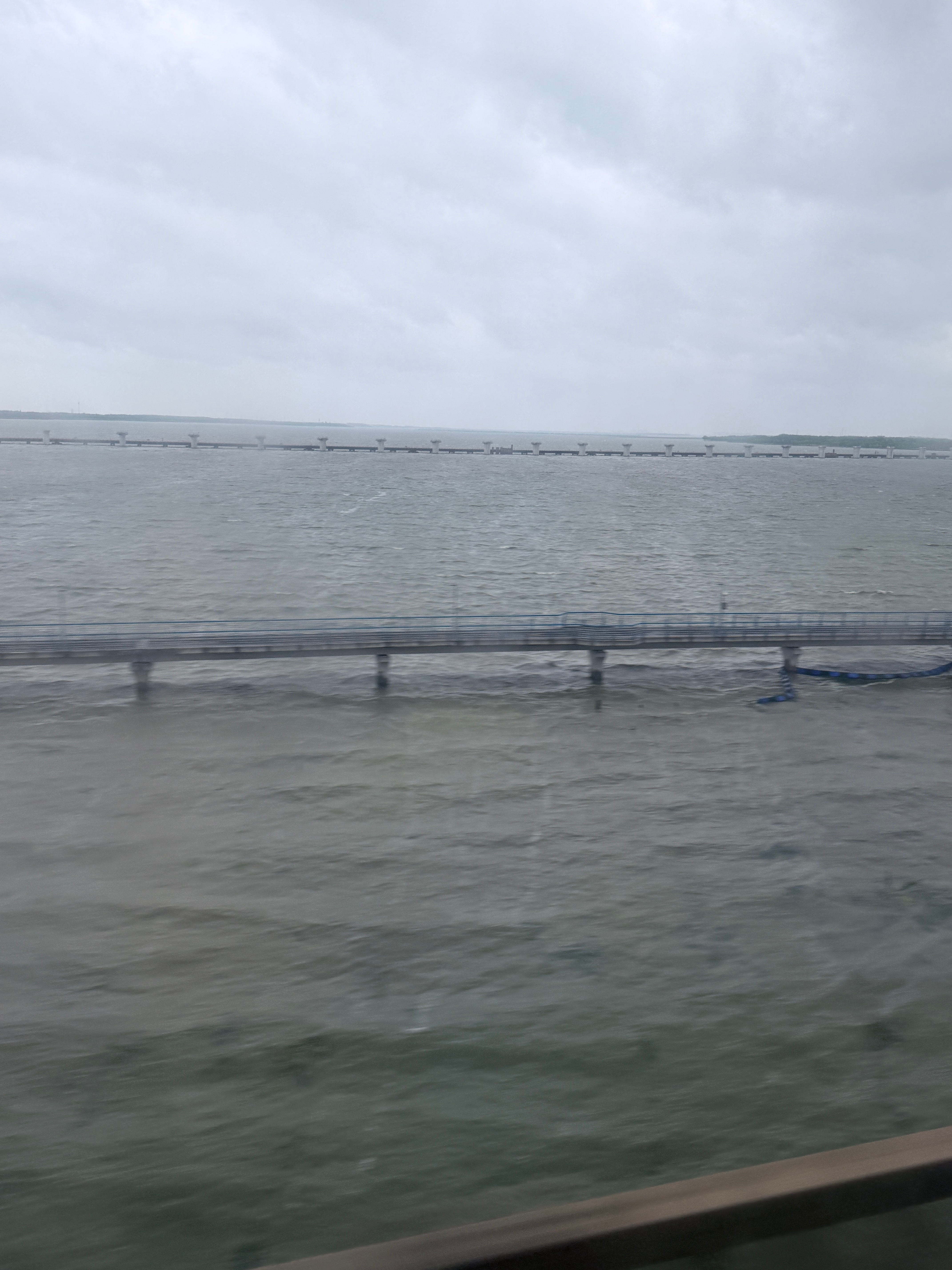 白海豚还没登陆呢 阳澄湖都差点要把桥淹了 