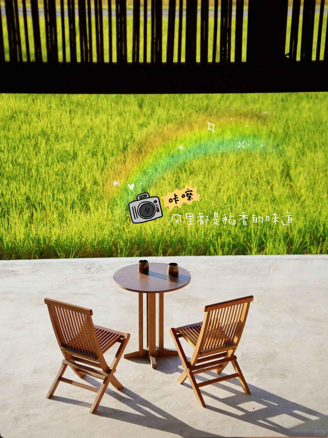 🌾 三禾稻里|请你参与我的秋天🍂