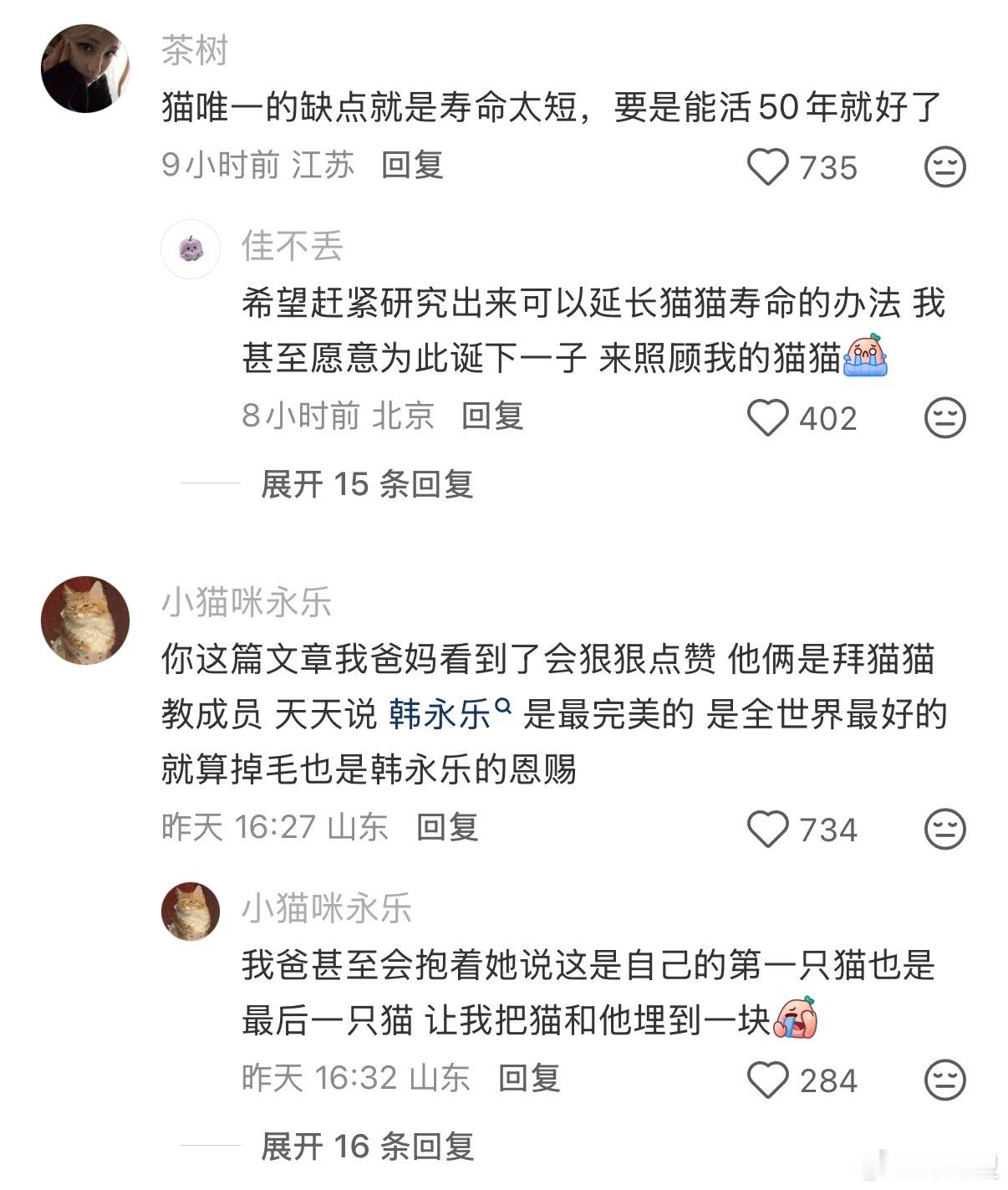 猫应该是最完美的宠物了 