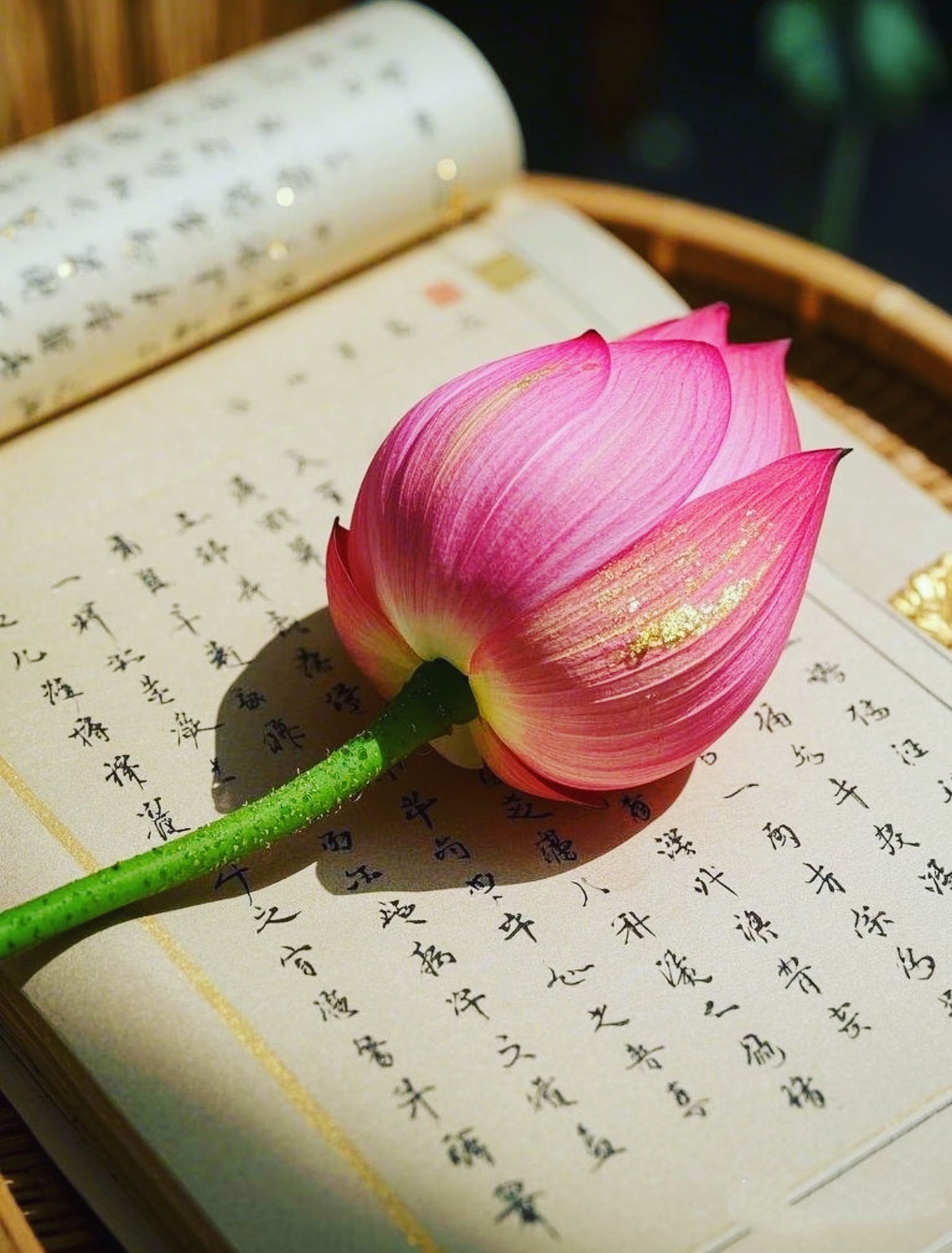 7月31日，丙午日，闭日。今日宜：祭祀、入殓、除服、成服、破土、结网。查漏补缺、