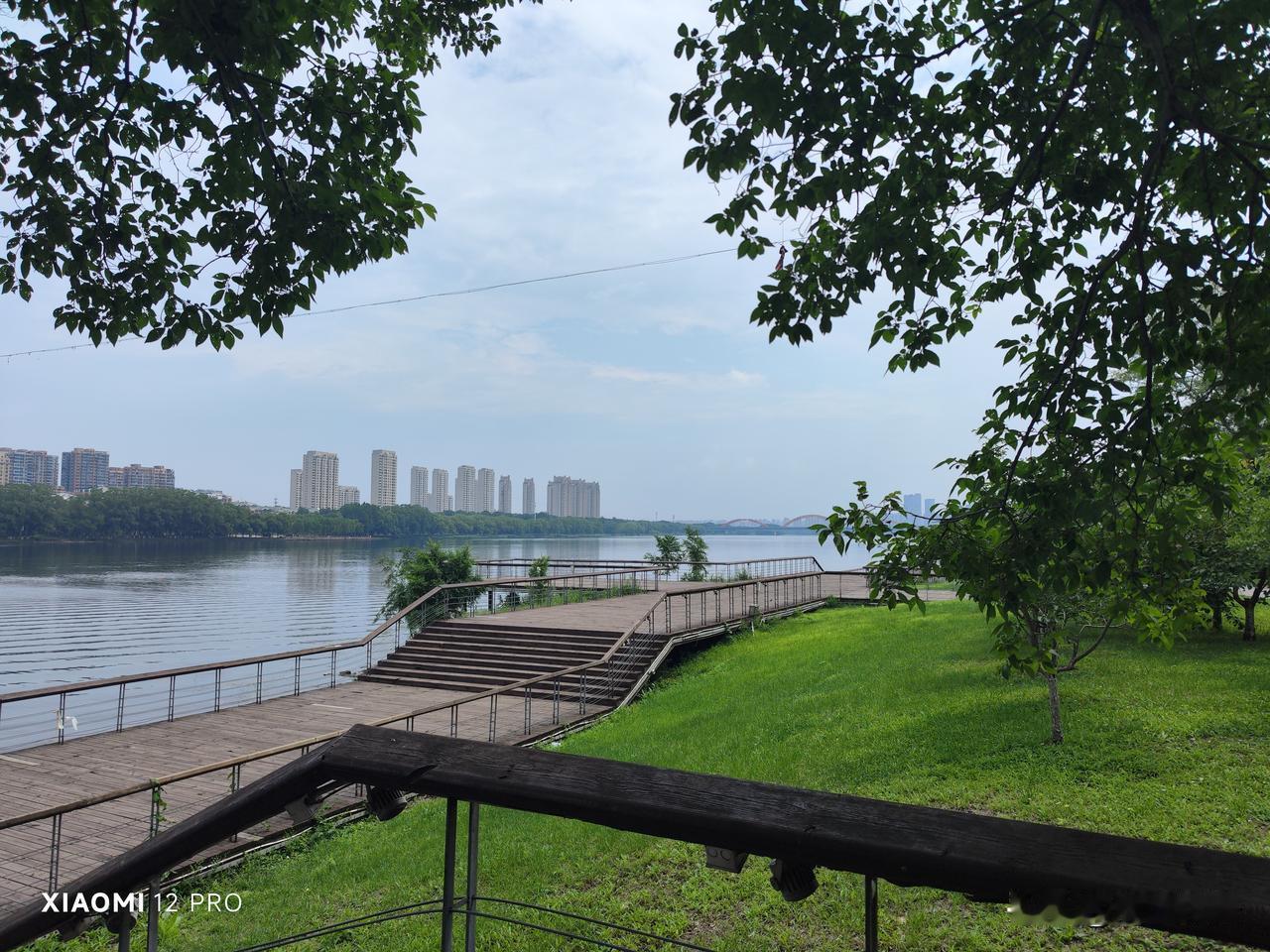 夏日生活打卡季沈阳的夏日，蓝天白云，绿树成荫，鸟语花香，这样的景色令人流连忘返。