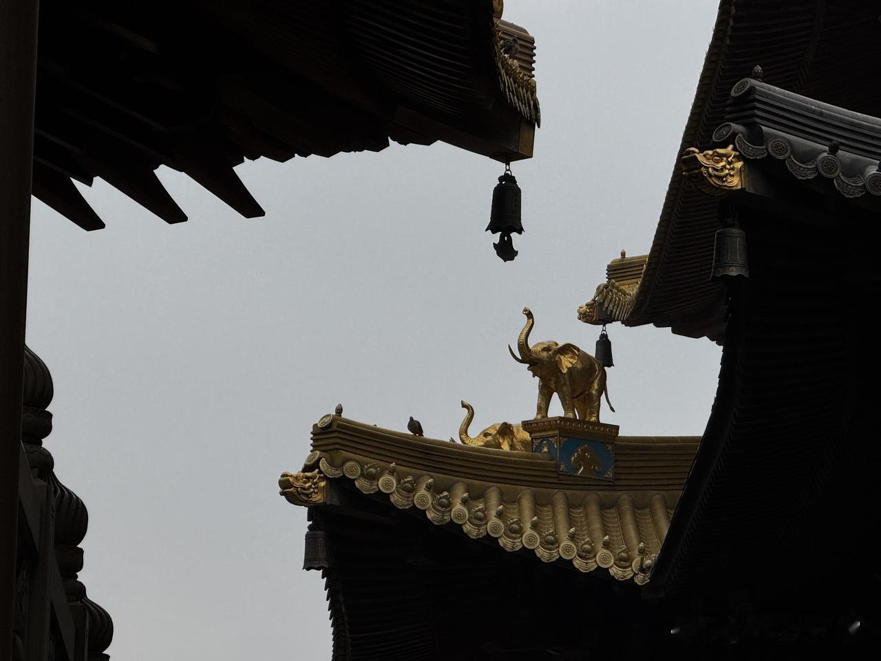 发一张图片，让我猜出你在哪里拍的