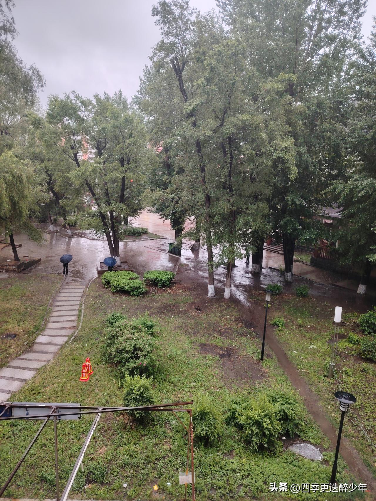 下雨了
小雨淅淅下不停，
燃眉之急解旱情。
天有深情地有意，
扶助众生喜丰收。