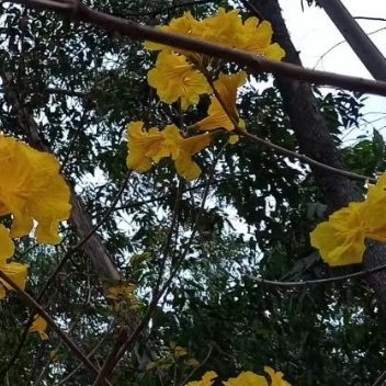 每日一善每日‎一善阳光信用 保持一颗善良的心，就是人生幸福的源泉，就是一席永恒的