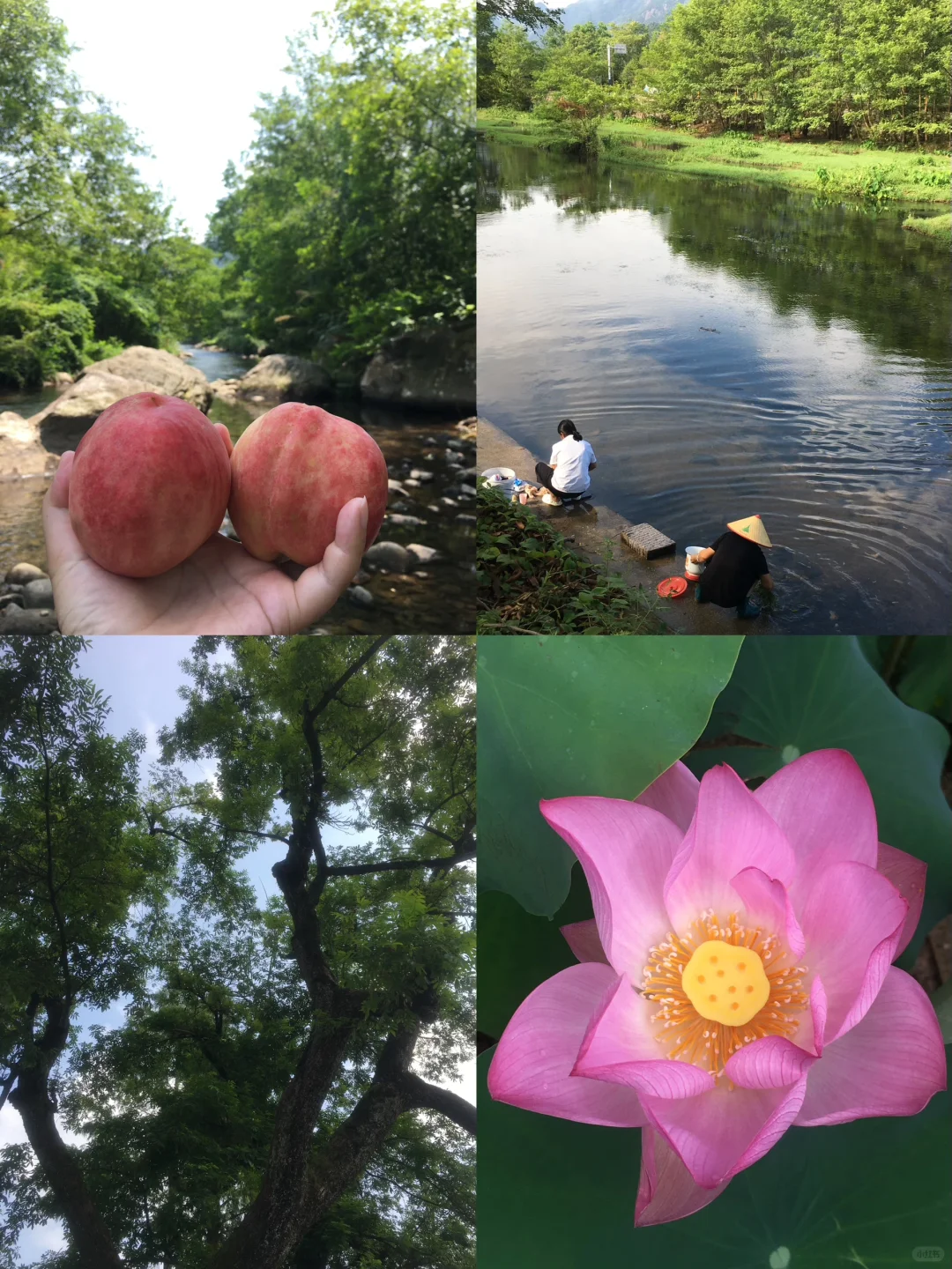 人的心一旦放开，很多烦恼就消失了。