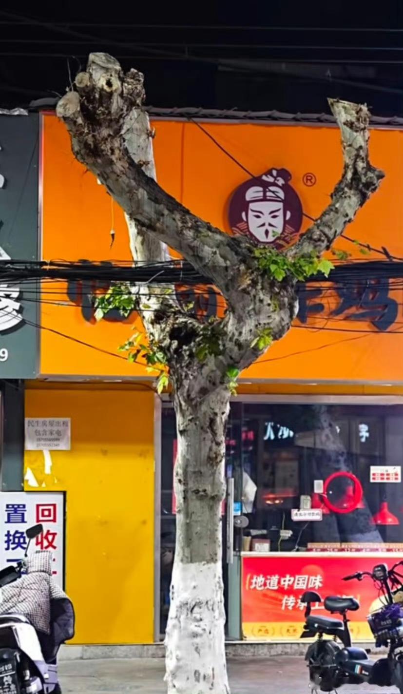 AI大模型暴利时代彻底终结2022年之前的书籍文字没有被AI侵染过，是很好的模型