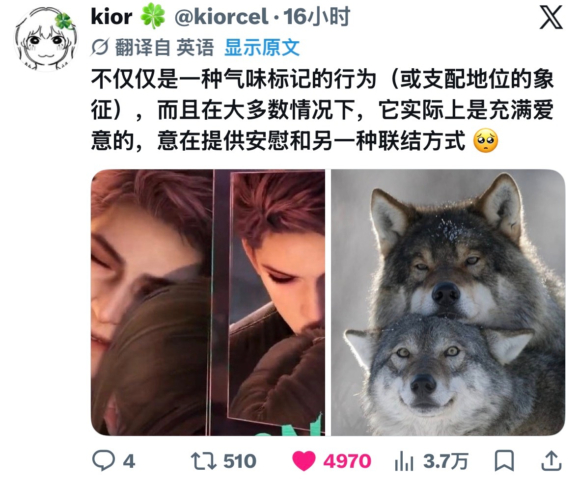 到底是国服没有人喜欢敖尹，还是算法没有起作用，怎么只有外服妹子妙语连珠。弄得我一