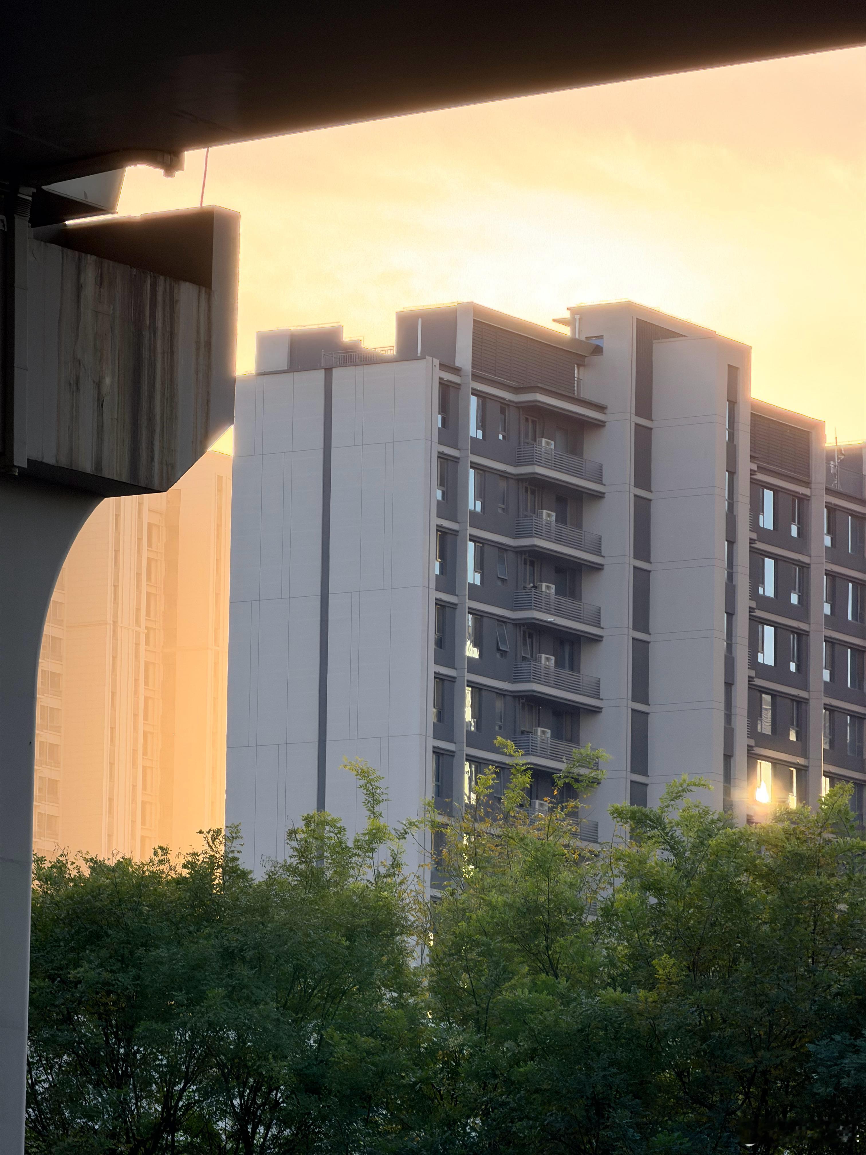 生病一周终于好了，骑骑车拍拍照！