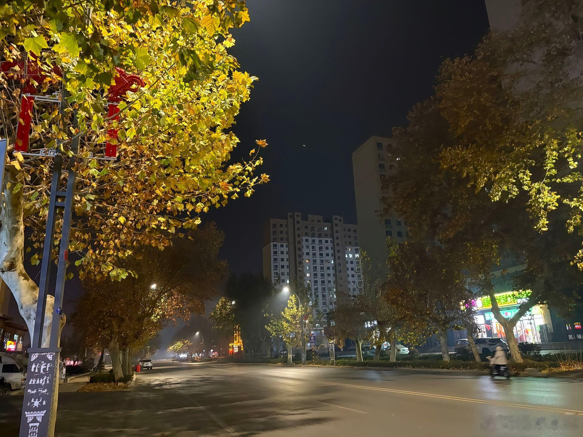 随手拍“我讨厌处理人际关系，说话拐弯抹角，试探藏在客套中，我懒得猜，也猜不透，我