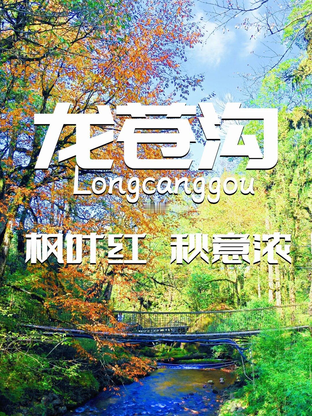 龙苍沟｜枫叶红秋意浓
