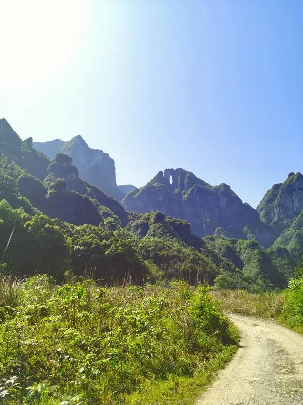 12月3日张家界七星山荒野求生决赛第10天，“林北”退赛拿2000元奖金这事挺引