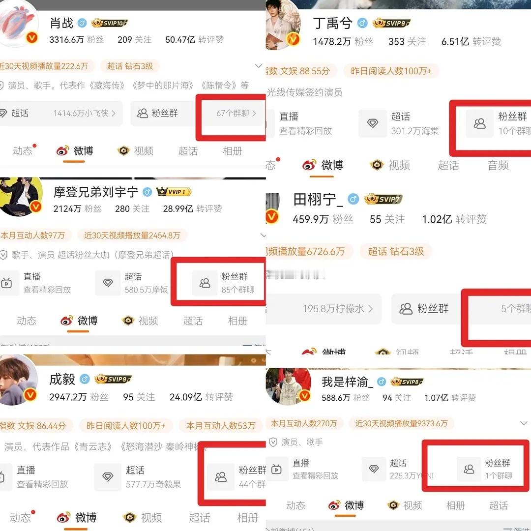 钻3🥜的粉丝群和人数小表格 ​​​