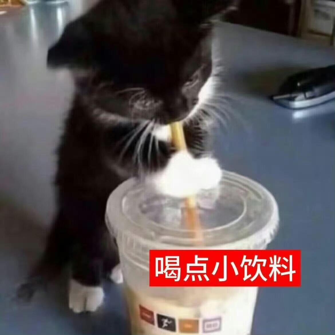 鱼你有染 🩷鱼你有染 今日双人大屏进度ᕙ(  •̀ ᗜ •́  )ᕗ今天比昨天