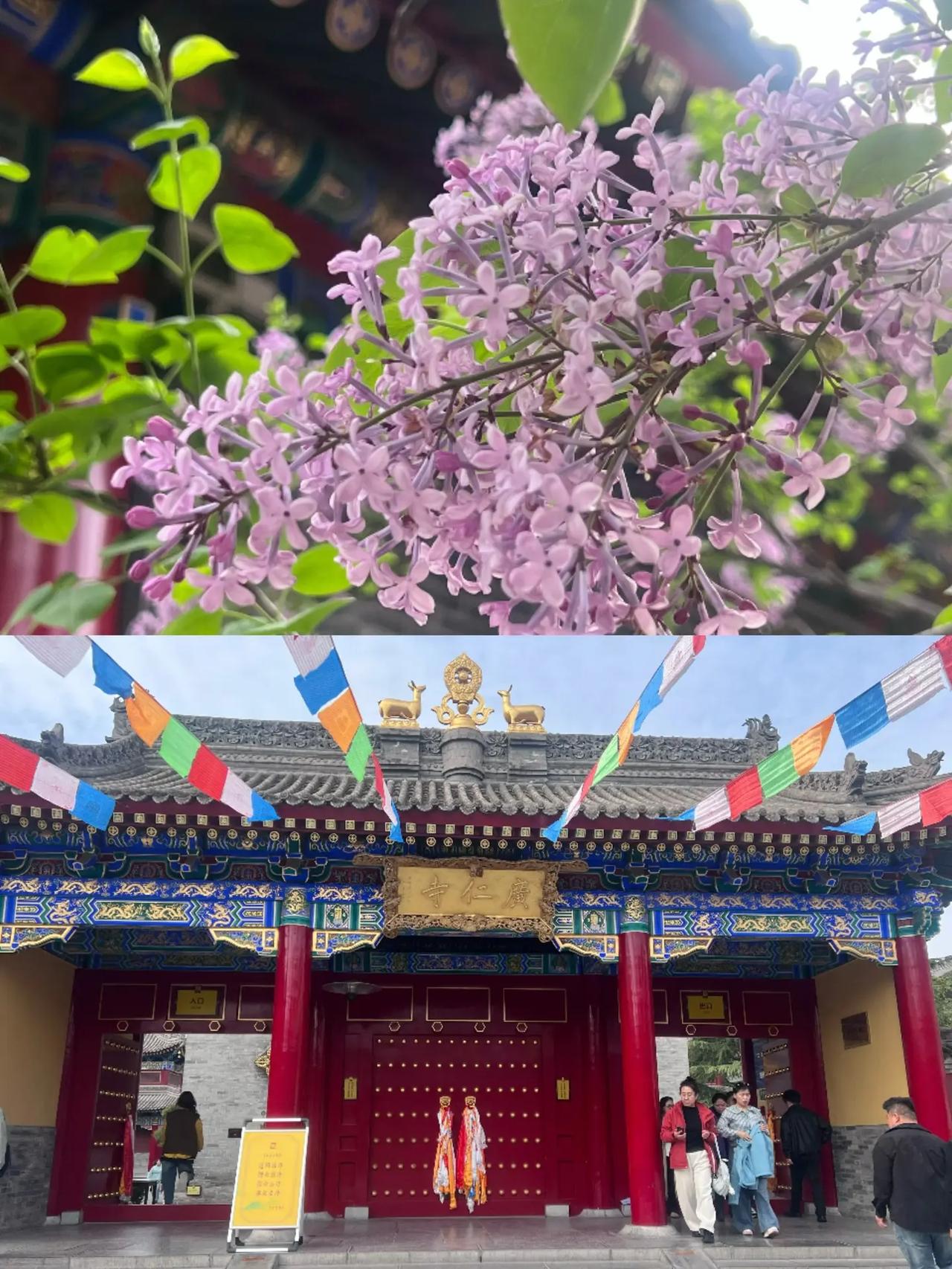 广仁寺～ 陕西唯一一座喇嘛寺庙 安城墙下的小西藏不用远赴高原，也能拍藏式大片红墙