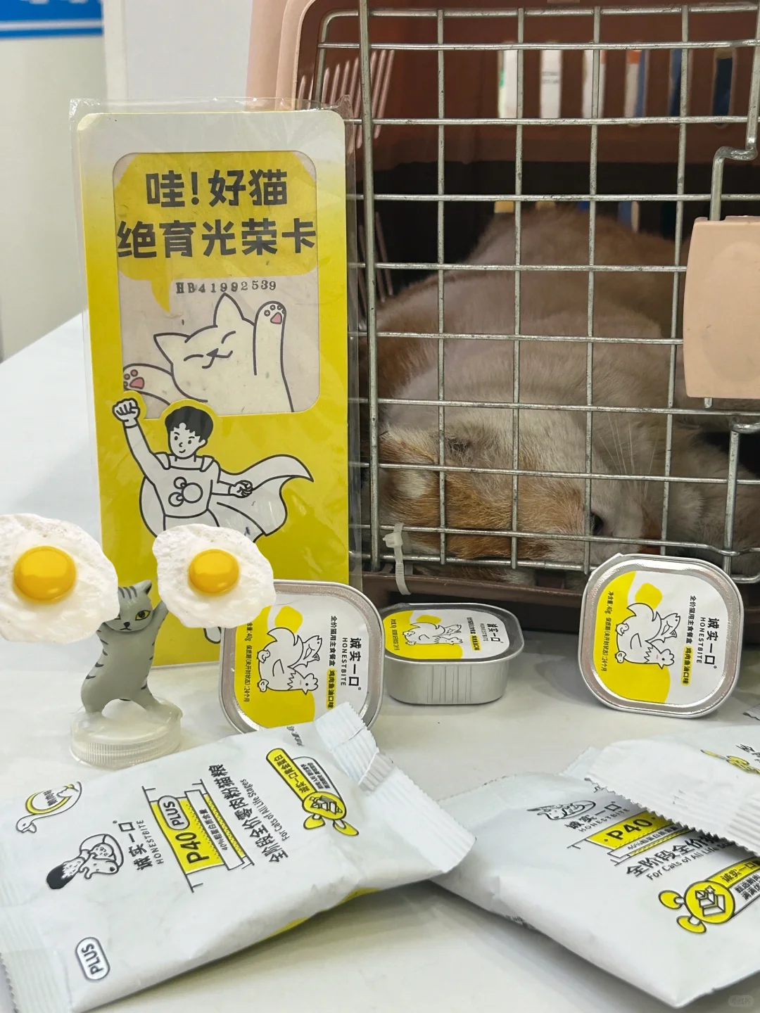 成功捕获中分の巨蛋*2！
