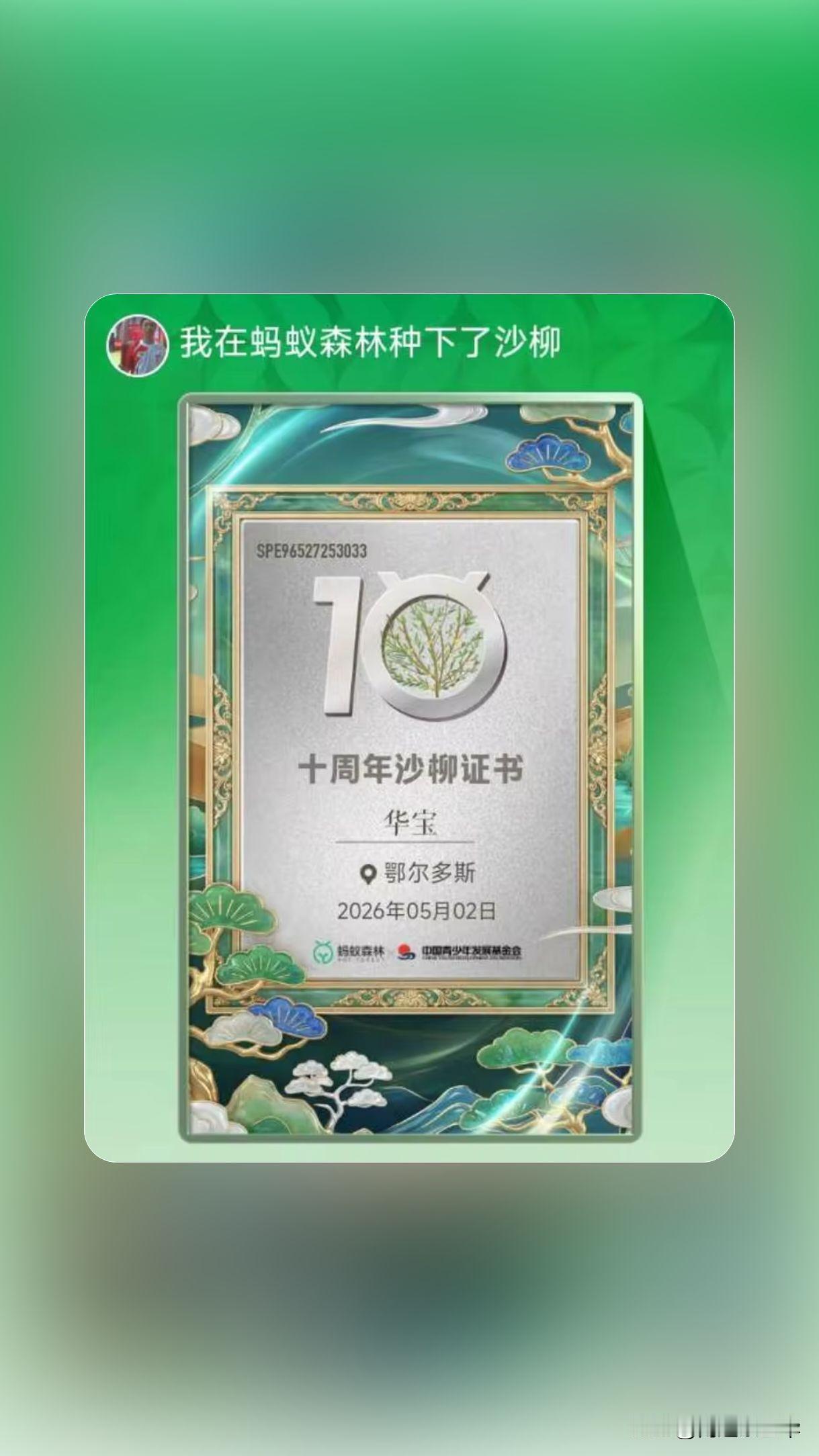 形似火炬的沙柳是希望的火种，再难的环境也能破土而出，能力难以被埋没，强大如你！愈