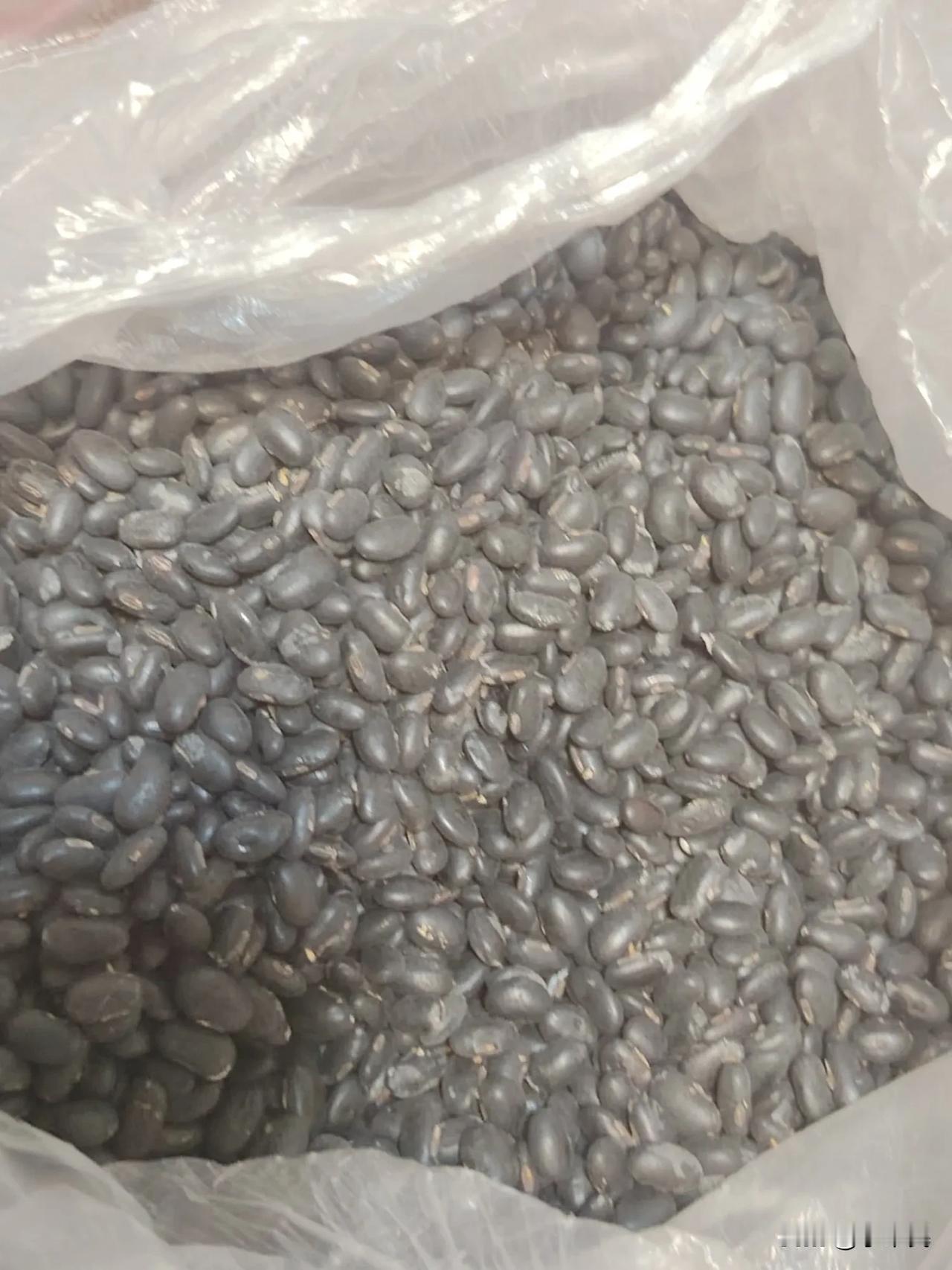 这种黑豆有认识的吗？应该怎么吃？
这黑豆是姐姐自己种的，给我拿来说是吃它可以长黑