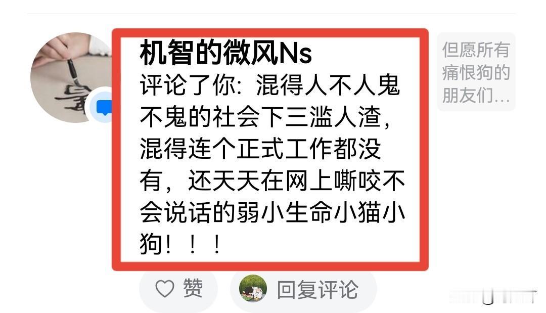 就因为不断曝光恶狗伤人以及养狗人不道德事件，我是彻底把养狗的得罪了！不少养狗的跑
