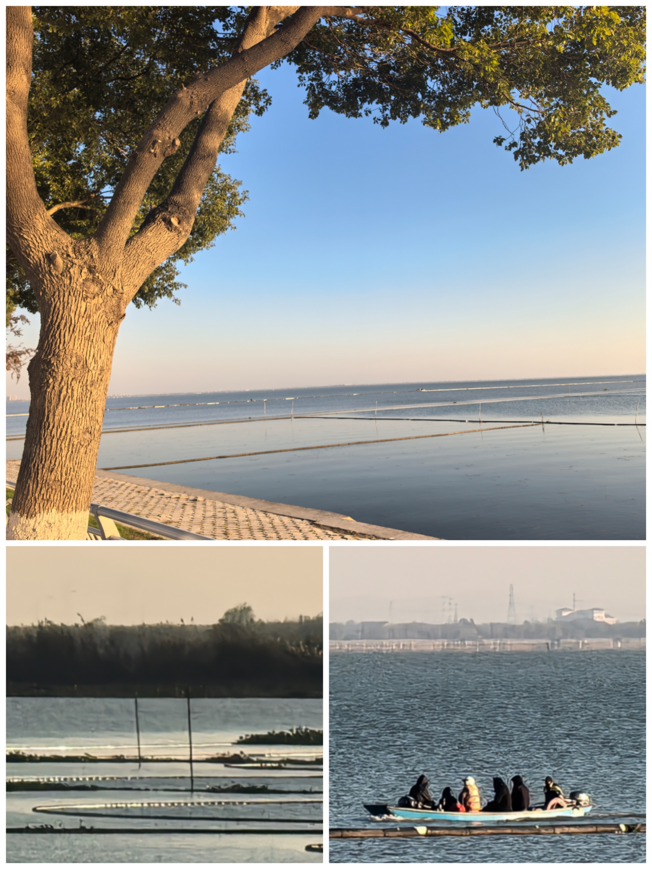 近期，个人在江苏出差，随车从扬州前往无锡，途经滆湖服务区(沪武高速上海方向)，哥