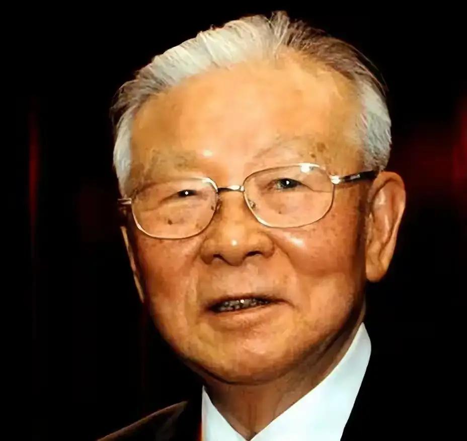 1993年，当台独流氓、国民党主席李登辉公然宣称，台湾是无主之地，国民党是外来政