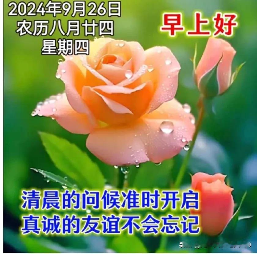 #分享每日早安吉祥晨语#
一声早安，胜千言；
言语不多，真情在；
虽没谋面，牵挂