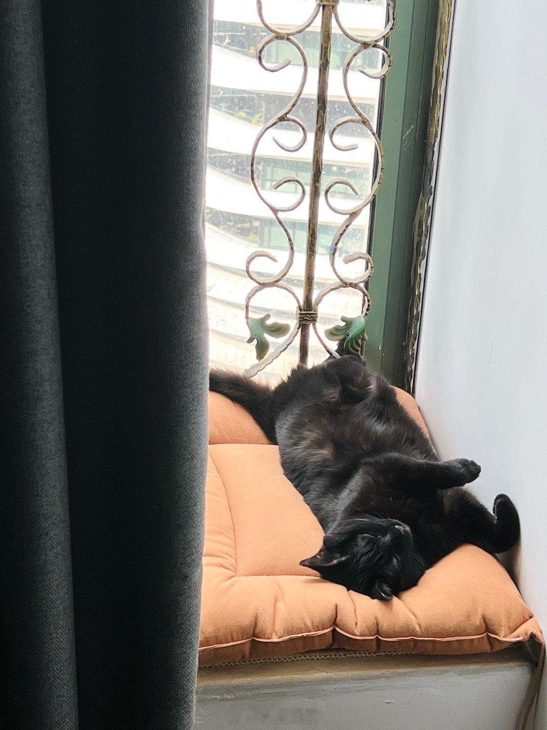 大可愛們💦🪴 ​​​