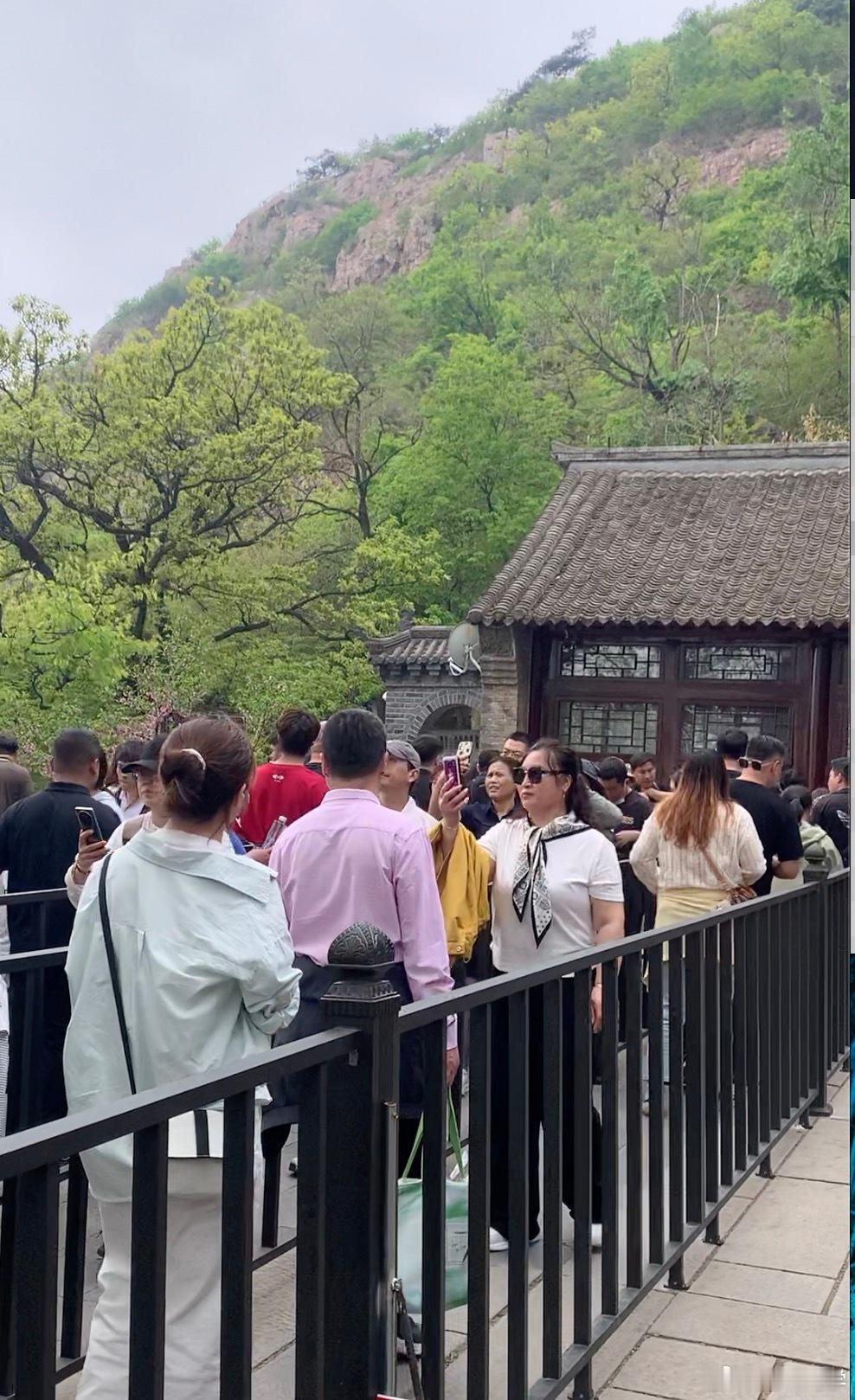 这几天刷大孤山路透，真的能感觉到“高考气息”。古树下在拍照的是考生，排队祈福的是
