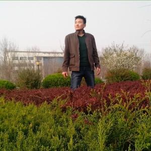 混剪的视听盛宴