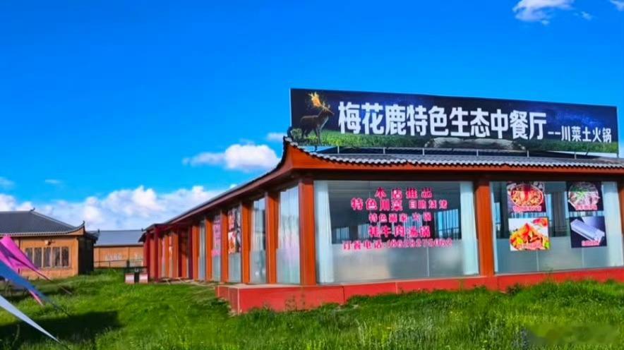 三伏天就该住四川若尔盖热尔部落 2026年三伏天，若尔盖·热尔部落梅花鹿生态园夜