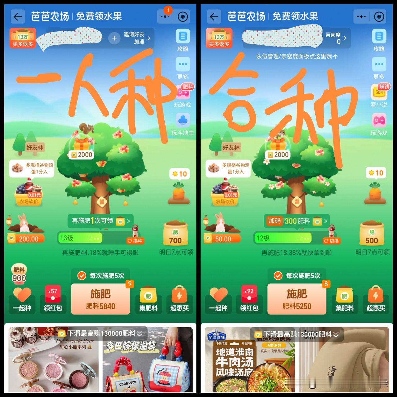 一人种那棵树好几年前种的了，种植没几天就卸载了淘宝。当我再次下载回来，原来那棵果