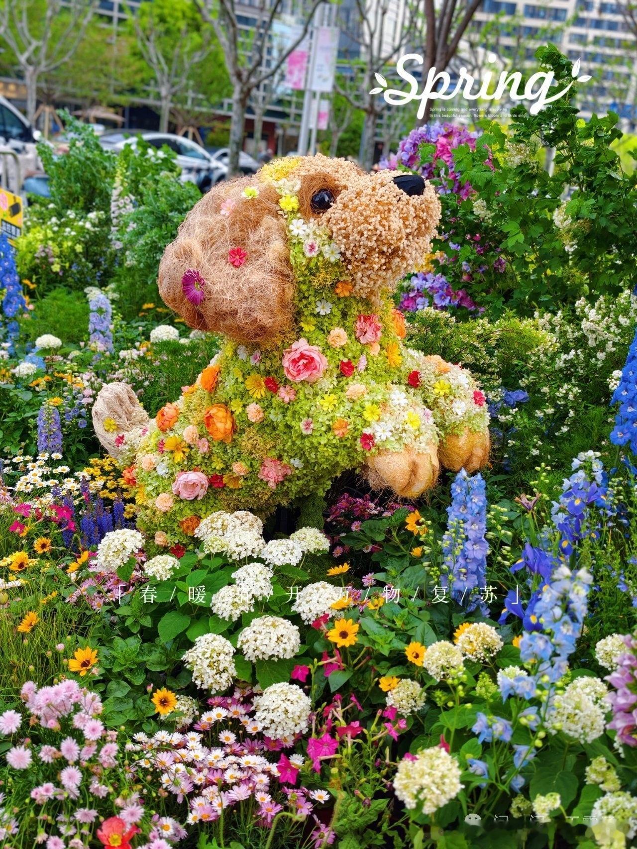 上海国际花卉节这次做的好好看啊，4.18-5.10全城都是花花装扮成小动物的样子
