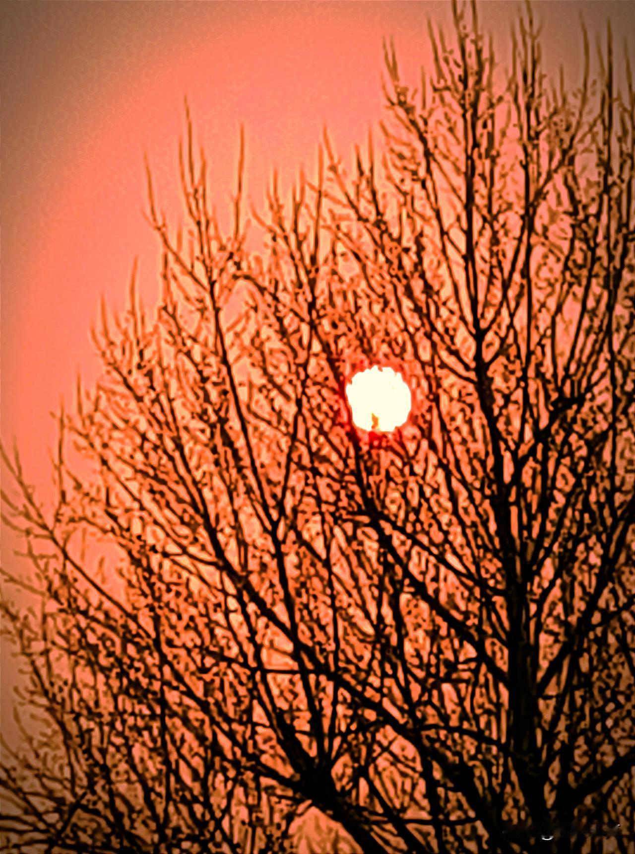 我从来不买包装上带有“五常”字样的大米。
咱们吉林省土地肥沃，气候适宜，水质清冽