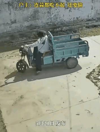 胆子太大了！近日，江苏一农户把蒜堆自家门口晾晒，一女子提前踩好点后骑三轮车上门徒