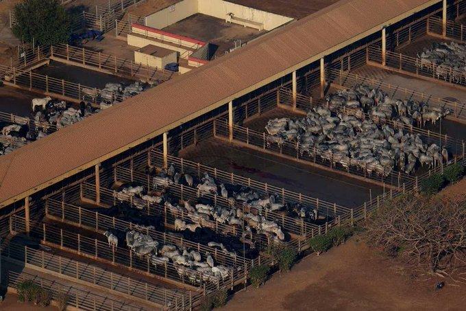 巴西牛肉快“卖断货”了，对中国年度配额即将用尽！

全球最大牛肉出口国巴西，正快