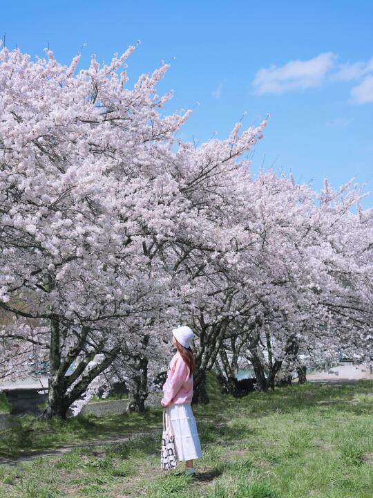 被20W人看过的🗻富士山🌸视频，机位攻略来咯
