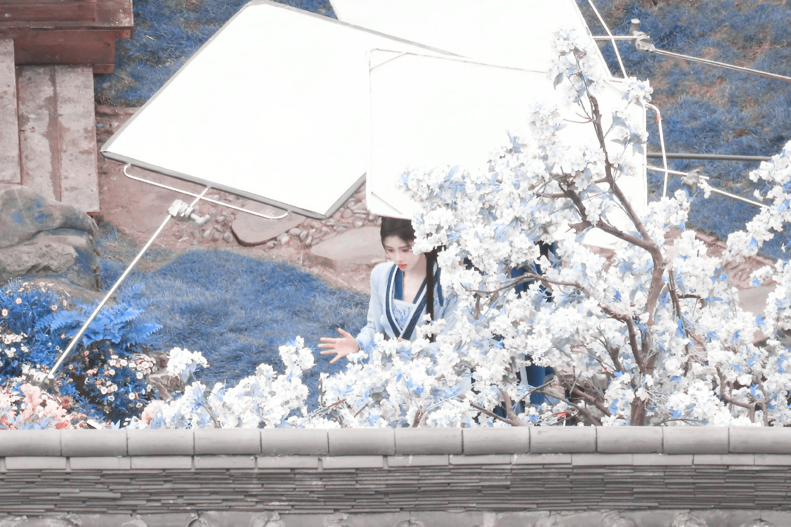 🧊❄️"✩姜黎非.❄︎鞠婧祎姜黎非