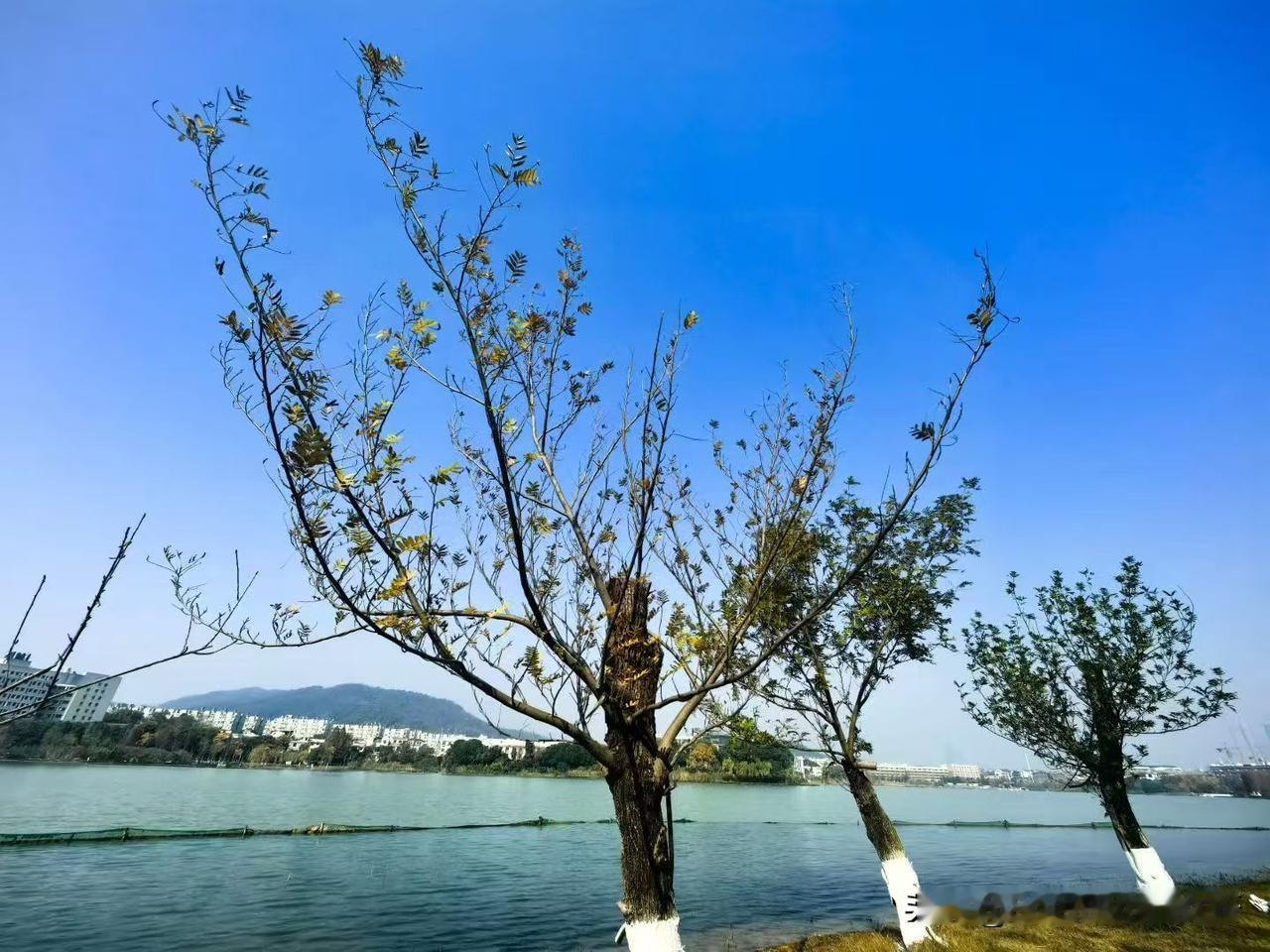 等我退休后，首先最基本的要有一个健康的身体，有退休金，起码有生活保障，有一个属于