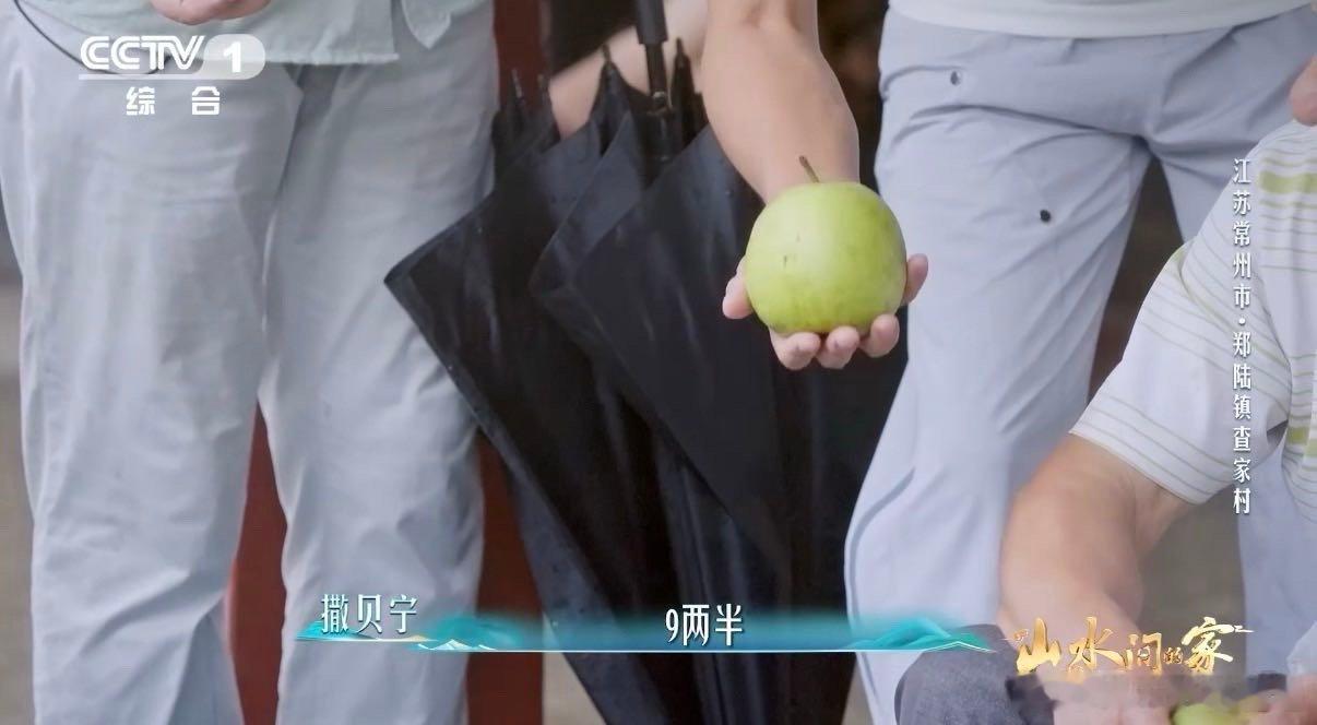 果农手一掂就知梨重9两2哪个梨更甜看底部 常州翠冠梨太诱人！果农一托知重、一看辨