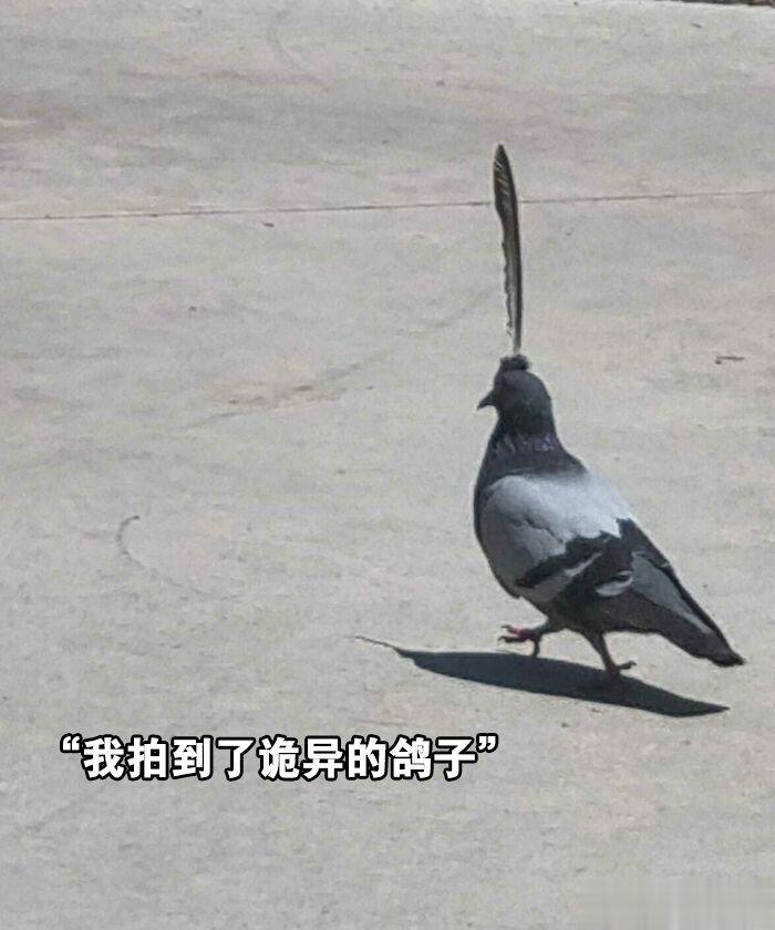 一些深嗜记录生计的人 