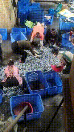 这又是何苦呢？为什么自己要整自己，慢一点不好吗？这个视频可没有加速，某公司生产车