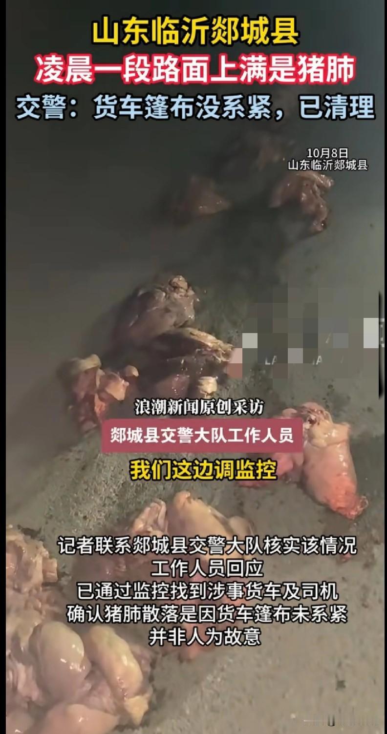 “绝了！山东临沂郯城县凌晨的马路直接变成‘猪肺现场’，满地都是猪肺，画面太绝了！