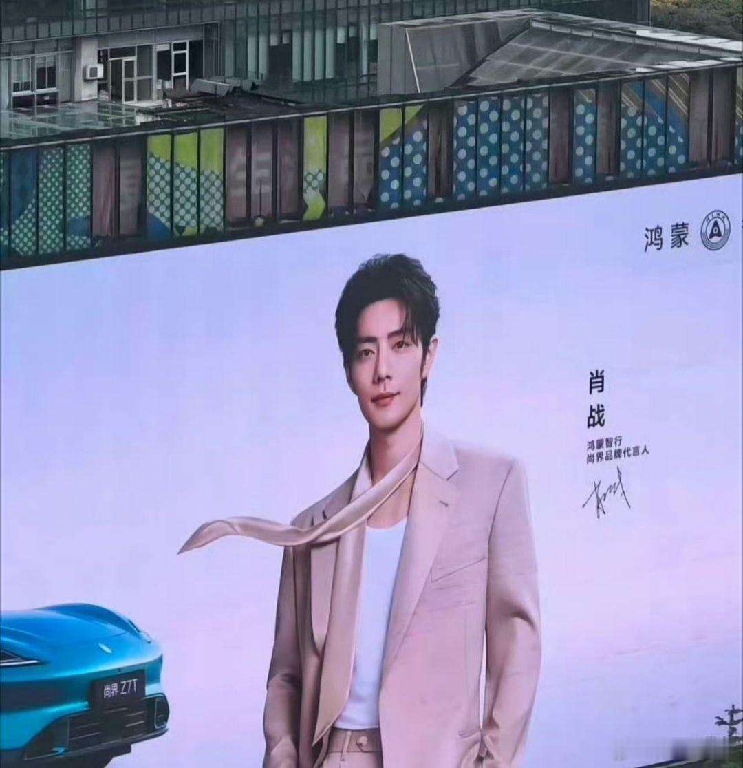 肖战最新车代地广 肖战最新车代地广 感觉和品牌适配度好高 