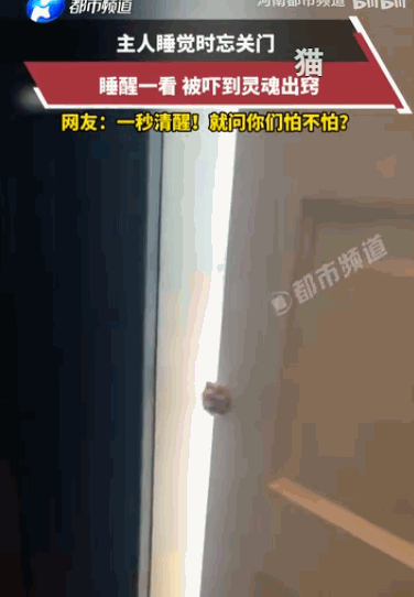“太吓人了。”6月1日河南都市频道报道，辽宁一住户夜里睡觉忘了关门，一觉醒来当场