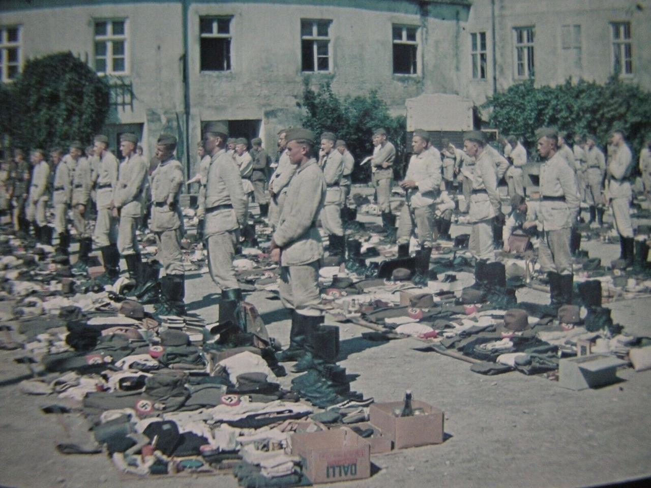 这组照片出自一名 ** 帝国劳动服务队（RAD）** 士兵的相册。该组织是二战德